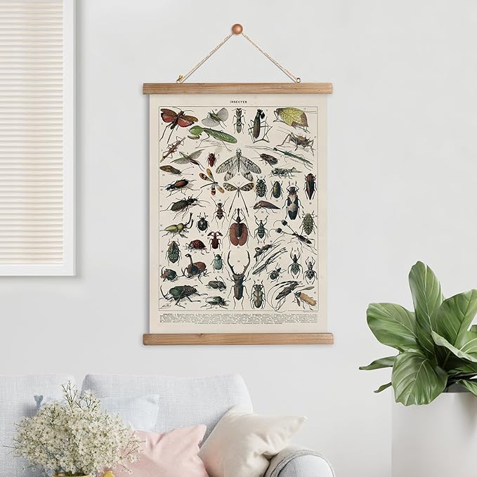 XIAOAIKA Vintage Entomology Poster - Illustrated Insect Species Chart with Wooden Frame - Educational Bug Identification Wall Art for Science Classrooms Home Office 12 x 16 Inches
