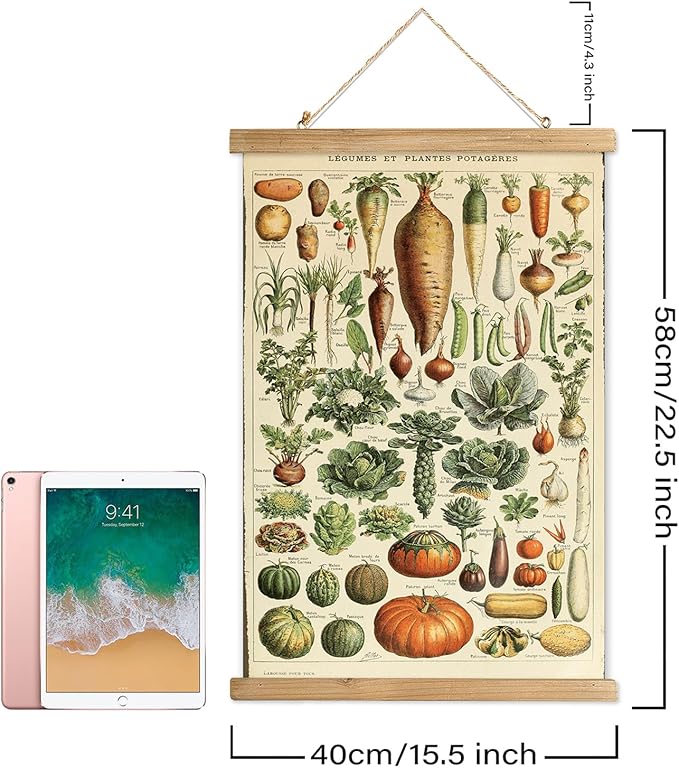 XIAOAIKA 2 Pack Vegetables and Mushrooms Vintage Posters with Wooden Frame - Cottagecore Room Decor, Classic Wall Art for Home and Classroom 16 x 23 inches