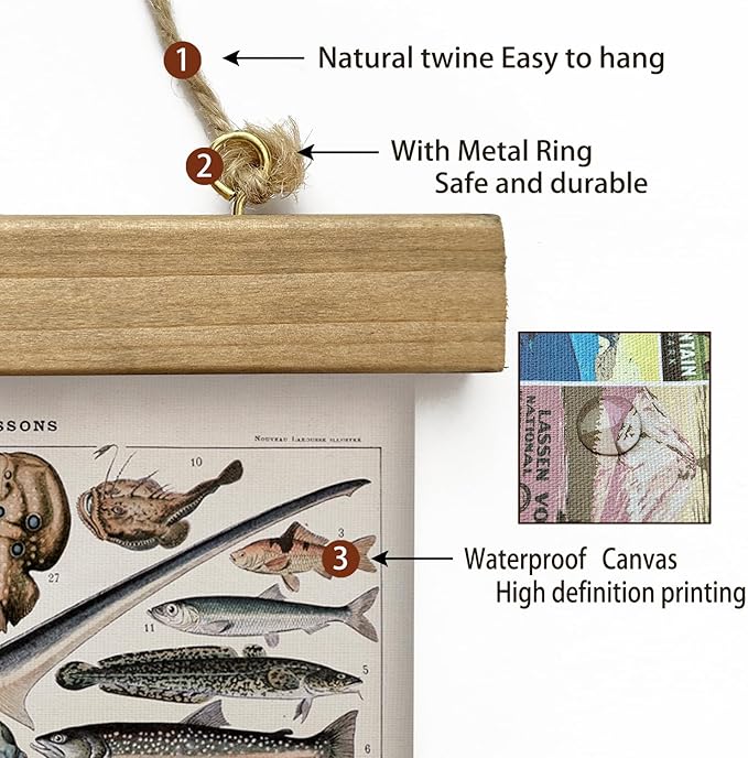 XIAOAIKA Vintage Fish Species Poster - Educational Oceanic Life Chart with Wooden Scroll Frame - Classic Nautical Wall Hanging Decor for Home, Office, or Classroom 20 x 30 Inches