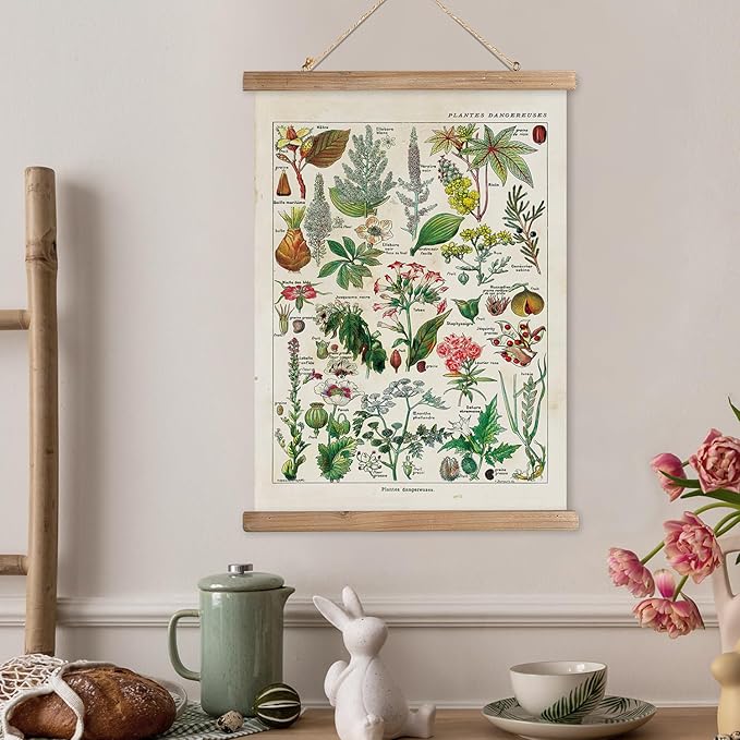 XIAOAIKA Vintage Botany Poster with Wooden Frame, Antique Poisonous Plants Chart - Botanical Educational Art with Dangerous Species - Retro-Style Wall Hanging for Home Classroom Decor 20 x 30 Inches
