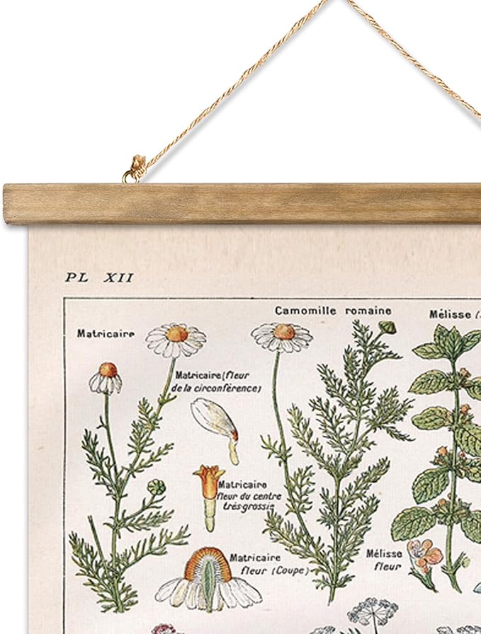 Vintage Spring Flower Poster Print, Botanical Educational Illustration, Rustic Wooden Hanger Frame, Linen Canvas Wall Art Decor, Farmhouse Cottagecore Style for Living Room Bedroom Office (16" x 23")