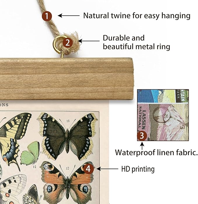 XIAOAIKA 2 Pack Vintage Butterfly Poster - Cottagecore Room Decor Aesthetic - Classic Lepidoptera Wall Art with Wooden Frame - Educational Decor for Nature Enthusiasts and Collectors 16 x 23 inches
