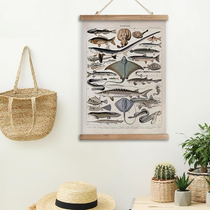 XIAOAIKA Vintage Fish Species Poster - Educational Oceanic Life Chart with Wooden Scroll Frame - Classic Nautical Wall Hanging Decor for Home, Office, or Classroom 16 x 23 Inches