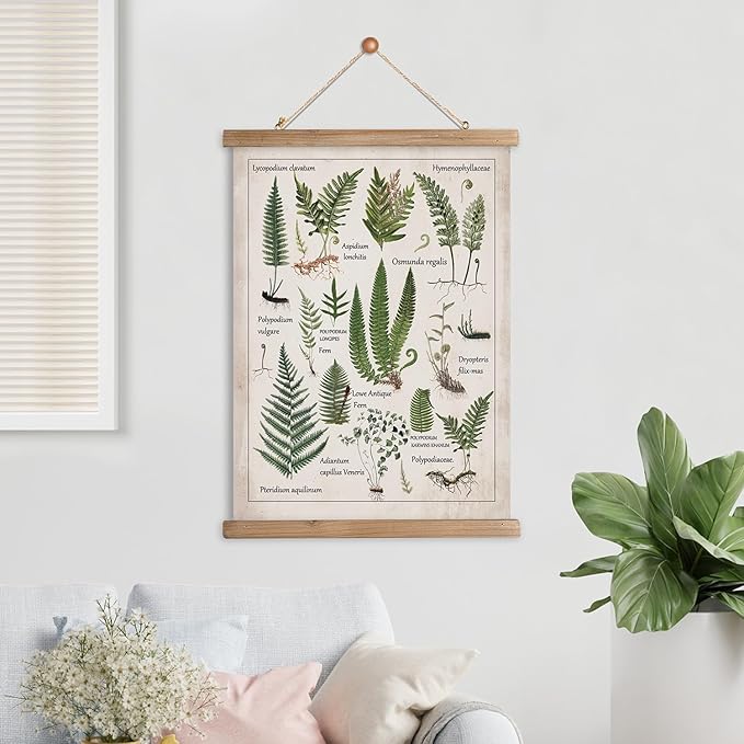 XIAOAIKA Botanical Fern Varieties Poster - Vintage Illustrated Guide with Wooden Frame - Educational Plant Wall Art for Home, Office, or Classroom Decor 12 x 16 Inches
