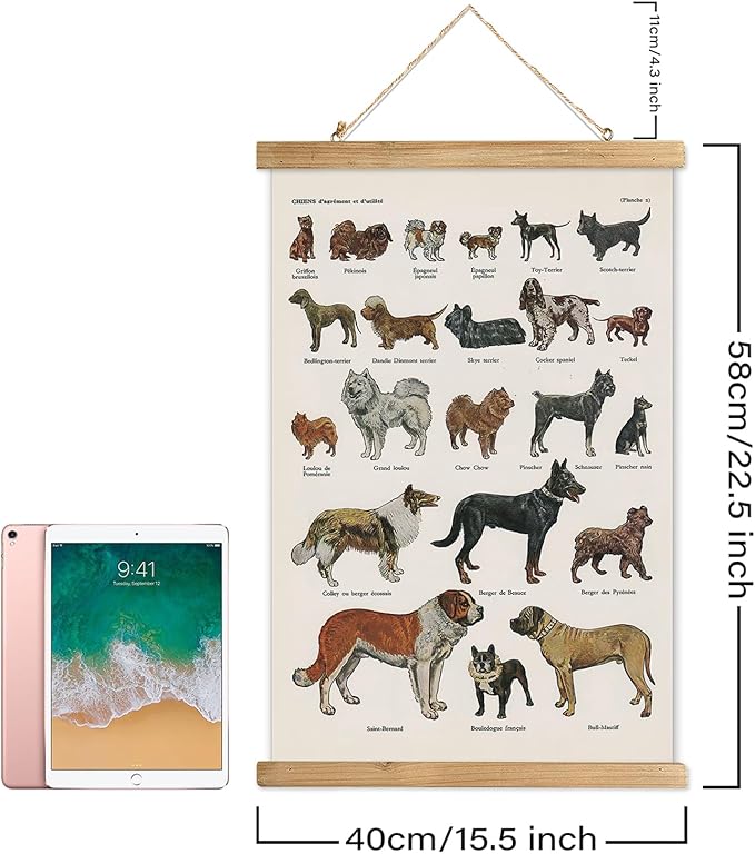 XIAOAIKA Classic Dog Breeds Illustrated Poster - Vintage Canine Varieties Wall Art with Wooden Hanger - Educational and Decorative Print for Pet Lovers and Breeders 16 x 23 Inches