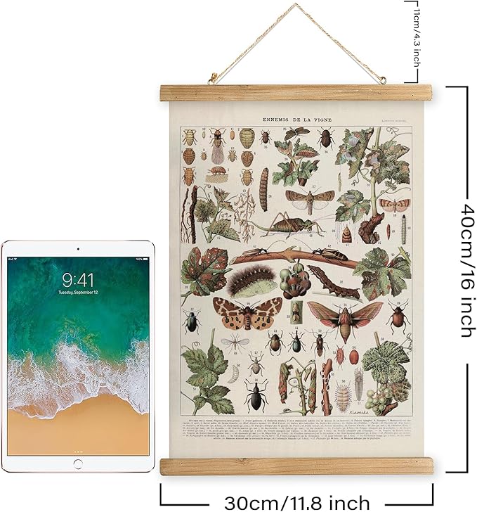 XIAOAIKA Vintage Vineyard Pests Identification Chart - Rustic Wall Hanging Educational Poster with Wooden Scroll Frame - Ideal for Wine Enthusiasts and Gardeners 12 x 16 Inches
