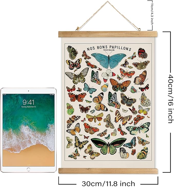 XIAOAIKA Vintage Butterfly Species Poster - Illustrated Educational Chart with Wooden Frame - Entomology Wall Art for Nature Lovers, Classrooms, and Home Decor 12 x 16 Inches