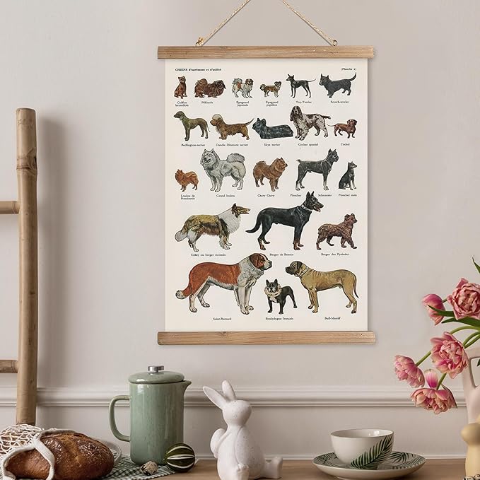 XIAOAIKA Classic Dog Breeds Illustrated Poster - Vintage Canine Varieties Wall Art with Wooden Hanger - Educational and Decorative Print for Pet Lovers and Breeders 16 x 23 Inches