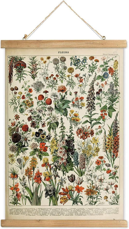 XIAOAIKA Vintage Wildflower Hanging Poster with Wooden Frame, Retro Style Wall Decor Detailed Floral Illustration- Educational Botany Wall Art for Gardeners Home Decor Classroom 20 x 30 Inches
