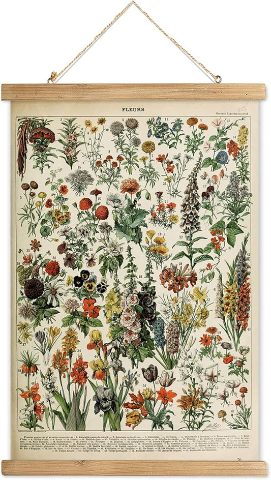 XIAOAIKA Vintage Wildflower Hanging Poster with Wooden Frame, Retro Style Wall Decor Detailed Floral Illustration- Educational Botany Wall Art for Gardeners Home Decor Classroom 12 x 16 Inches