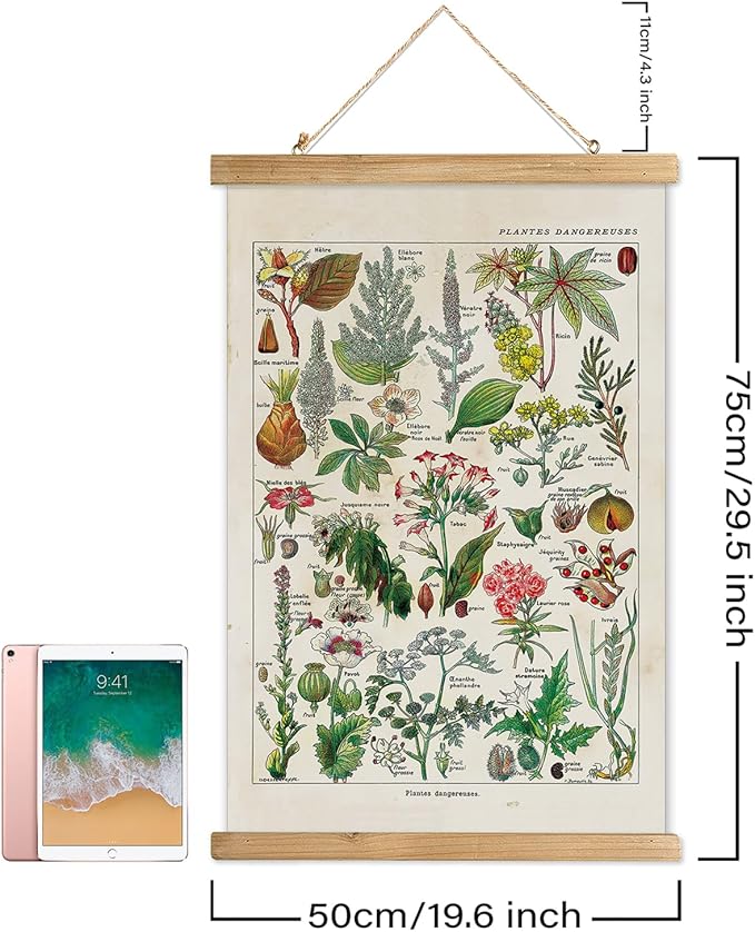 XIAOAIKA Vintage Botany Poster with Wooden Frame, Antique Poisonous Plants Chart - Botanical Educational Art with Dangerous Species - Retro-Style Wall Hanging for Home Classroom Decor 20 x 30 Inches