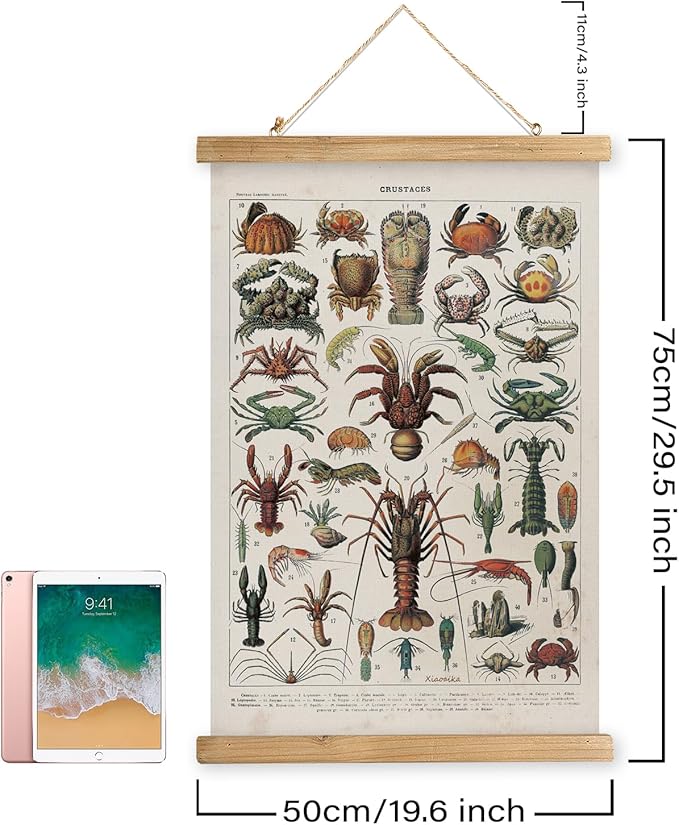 XIAOAIKA Antique Crustacean Species Poster - Vintage Detailed Seafood Illustration Chart with Wooden Frame - Educational Wall Art for Seafood Enthusiasts, Chefs, and Classrooms 20 x 30 Inches