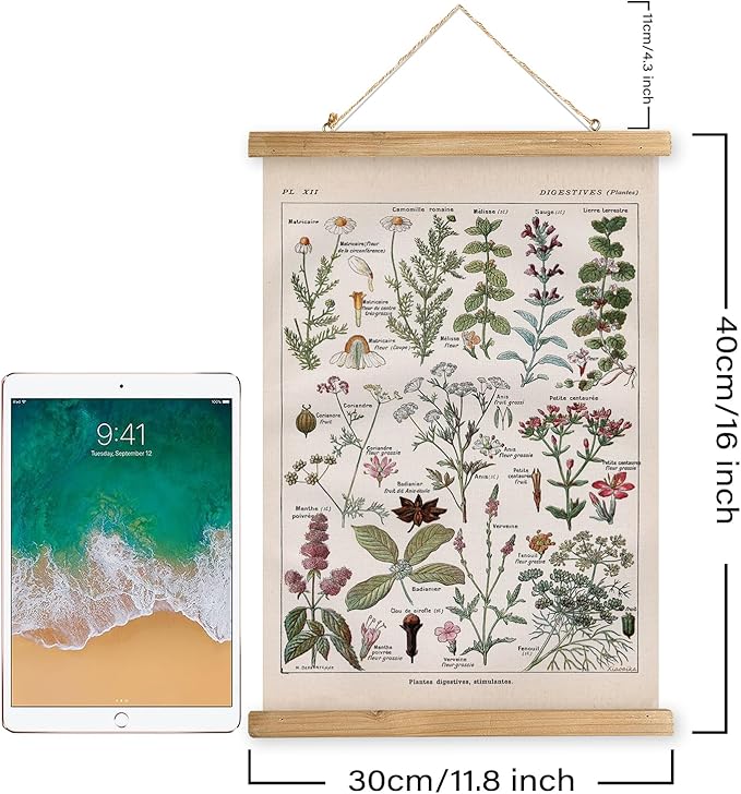 XIAOAIKA Vintage Botanical Herbs Illustration Poster - Retro Medicinal Plant Chart with Wooden Frame - Educational Herbal Reference for Home, Kitchen, or Classroom Decor 12 x 16 Inches