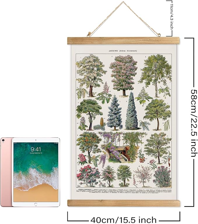 XIAOAIKA Vintage Tree and Shrub Poster - Botanical Educational Retro Wall Art with Wooden Frame for Gardening Enthusiasts and Landscape Designers 16 x 23 Inches