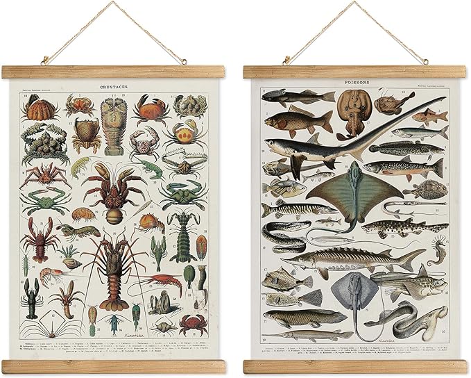 XIAOAIKA Set of 2 Vintage Marine Life and Crustaceans Wall Art Posters - Nautical Ocean Creatures & Seafood Illustration Prints with Wooden Hanger Frames for Home Decor 16 x 23 Inches