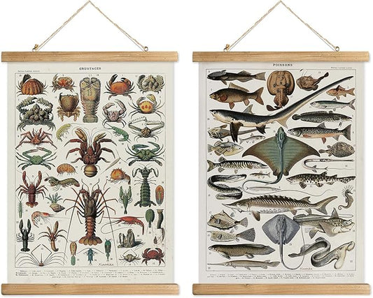 XIAOAIKA Set of 2 Vintage Marine Life and Crustaceans Wall Art Posters - Nautical Ocean Creatures & Seafood Illustration Prints with Wooden Hanger Frames for Home Decor 16 x 23 Inches
