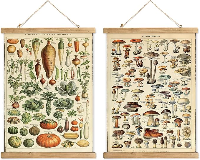 XIAOAIKA 2 Pack Vegetables and Mushrooms Vintage Posters with Wooden Frame - Cottagecore Room Decor, Classic Wall Art for Home and Classroom 16 x 23 inches