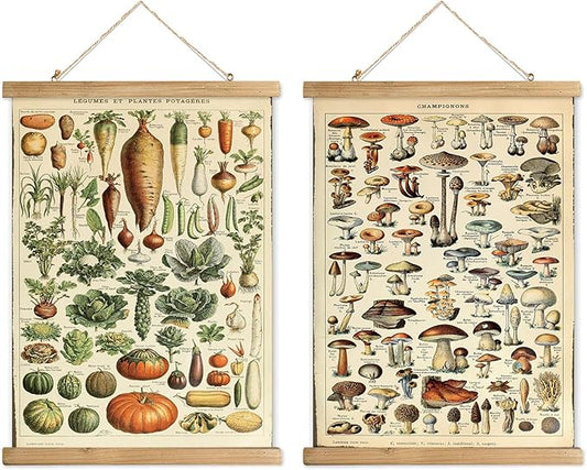 XIAOAIKA 2 Pack Vegetables and Mushrooms Vintage Posters with Wooden Frame - Cottagecore Room Decor, Classic Wall Art for Home and Classroom 16 x 23 inches