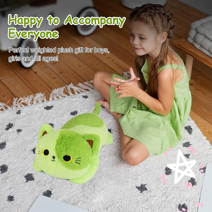 Weighted Avocado Cat Plush,Weighted Cat Stuffed Animal for Kids,Cute Cats Weighted Plushies Soft Avocado Pillow Birthdays Gifts for Kids Boys Girls