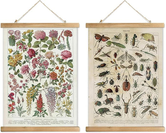 XIAOAIKA 2 Pack Vintage Posters: Botanical Garden Flowers & Insect Species - Illustrated Educational Charts with Wooden Frames for Nature Lovers, Home Decor Aesthetic, and Classrooms 16 x 23 Inches