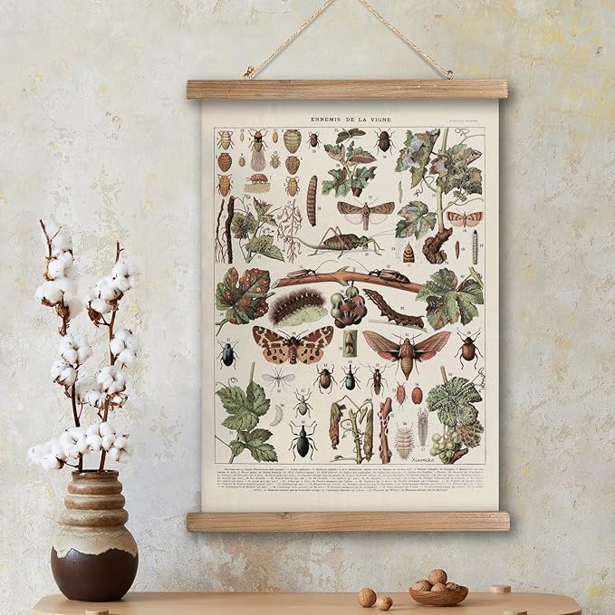 XIAOAIKA Vintage Vineyard Pests Identification Chart - Rustic Wall Hanging Educational Poster with Wooden Scroll Frame - Ideal for Wine Enthusiasts and Gardeners 12 x 16 Inches