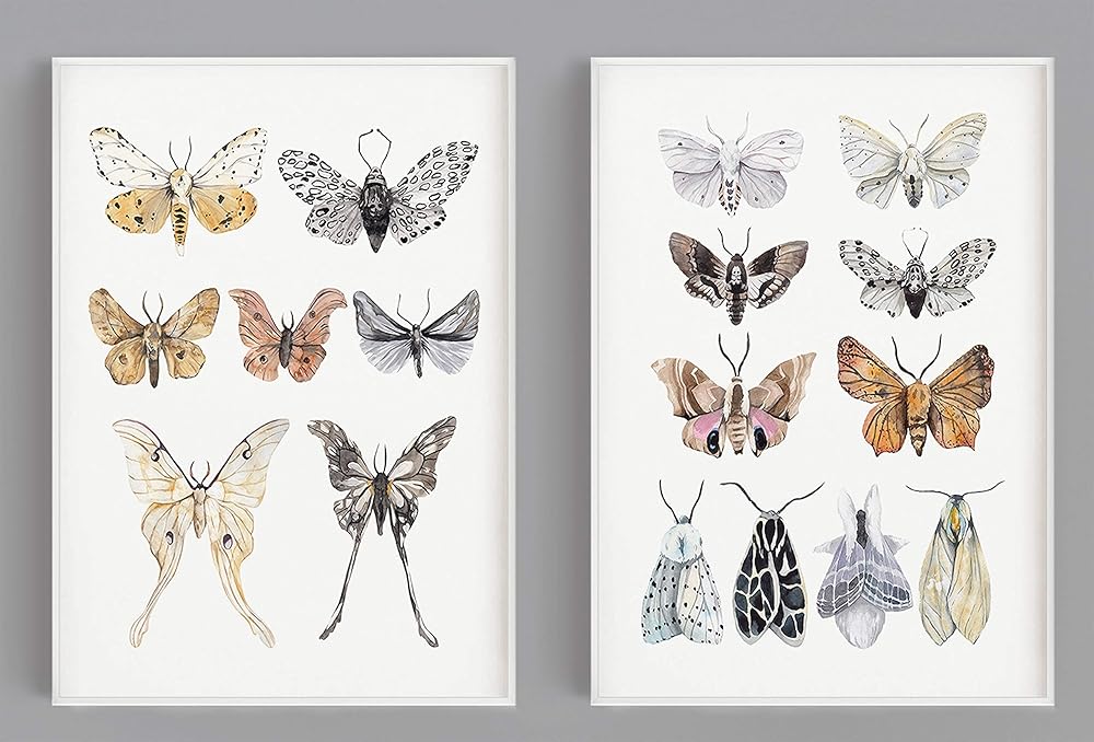 Watercolor Moths Art Prints - Vintage Nature Wall Art - Kitchen Wall Decor - Rustic Farmhouse Artwork - Butterfly Posters - Mariposas Decorativas - SET of 2-8x10 - UNFRAMED