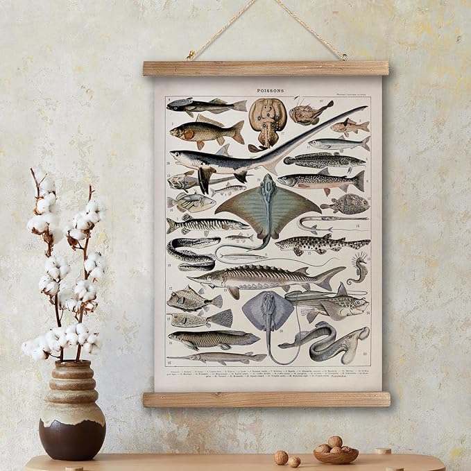 XIAOAIKA Vintage Fish Species Poster - Educational Oceanic Life Chart with Wooden Scroll Frame - Classic Nautical Wall Hanging Decor for Home, Office, or Classroom 16 x 23 Inches