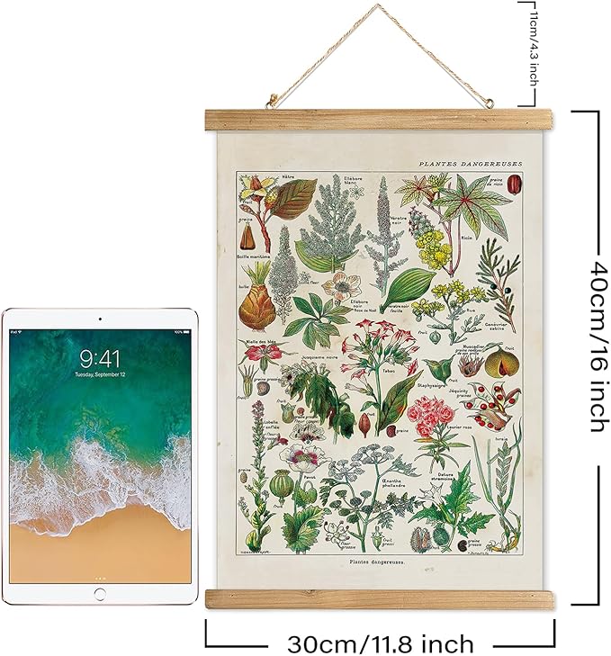 XIAOAIKA Vintage Botany Poster with Wooden Frame, Antique Poisonous Plants Chart - Botanical Educational Art with Dangerous Species - Retro-Style Wall Hanging for Home Classroom Decor 12 x 16 Inches