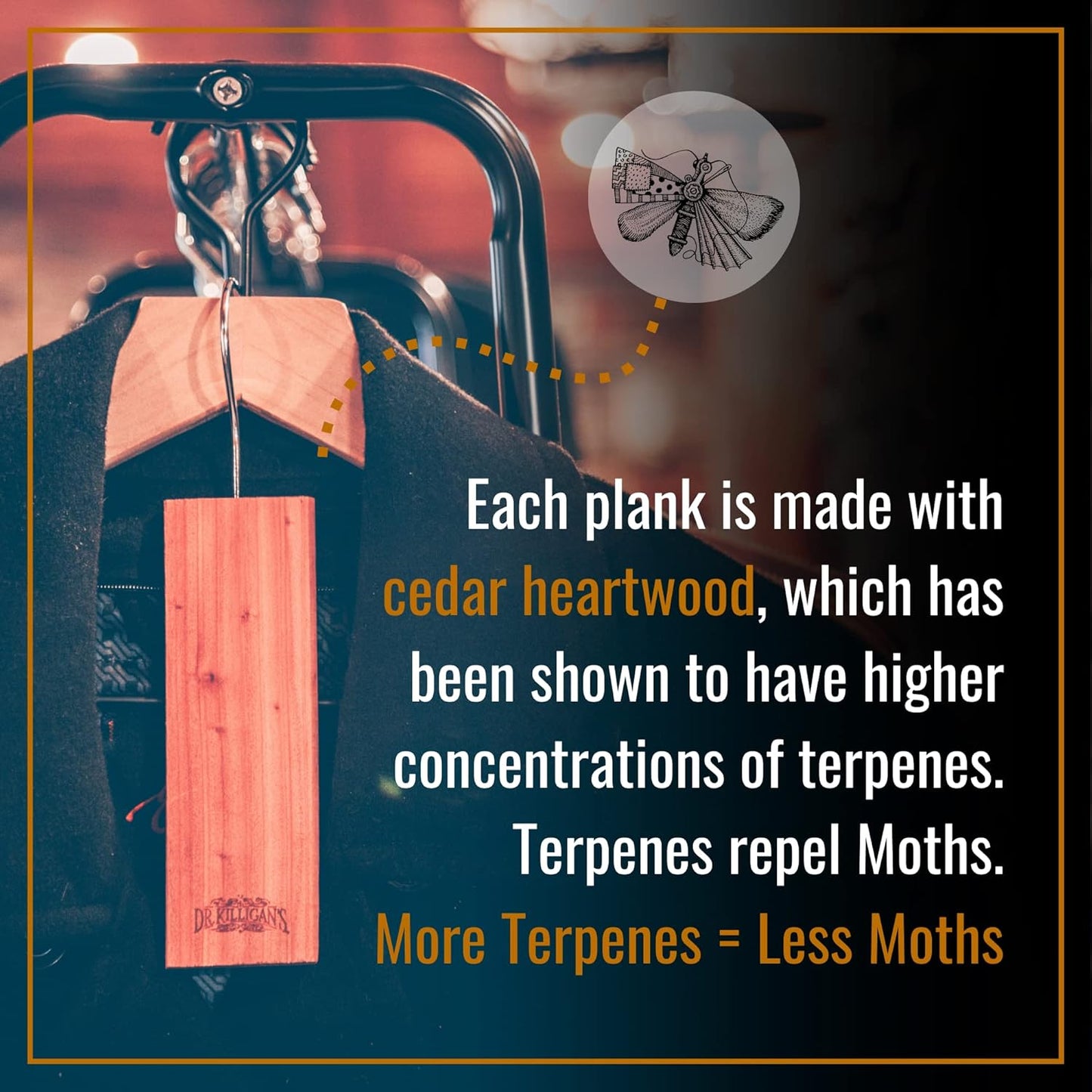 Dr. Killigan’s Moth Traps & Cedar Planks - Clothes Protection Combo – for Preventing and Eliminating Clothing Moths in Closets, Drawers & Storage