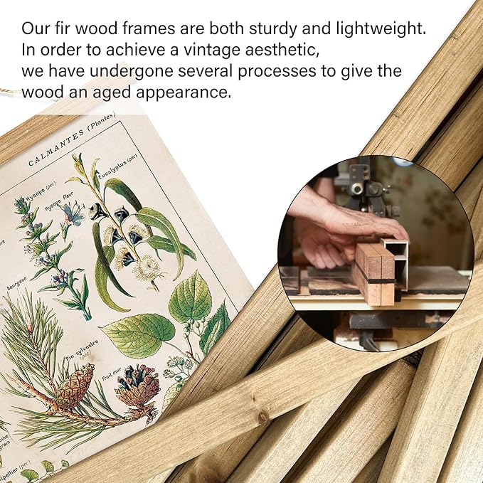 XIAOAIKA 2 Pack Vintage Plant Posters: Medicinal and Poisonous Plants - Retro Style Wall Art with Wooden Frames for Home Classroom, or Apothecary Decor 16 x 23 inches