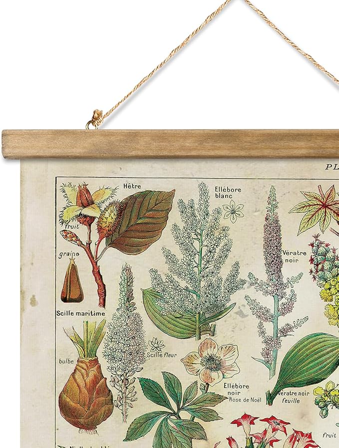 XIAOAIKA 2 Pack Vintage Plant Posters: Medicinal and Poisonous Plants - Retro Style Wall Art with Wooden Frames for Home Classroom, or Apothecary Decor 16 x 23 inches