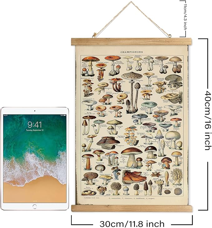 XIAOAIKA Vintage Mushroom Poster with Wooden Frame - Classic Botanical Print with Variety of Fungi Species - Retro Style Wall Art Decor for Kitchen, Living Room, Classroom 12 x 16 Inches