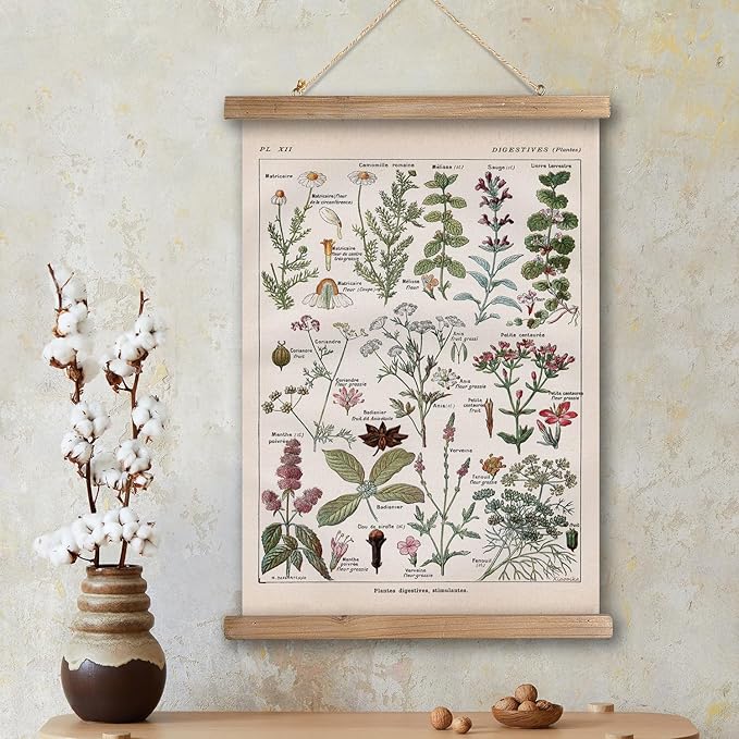 XIAOAIKA Vintage Botanical Herbs Illustration Poster - Retro Medicinal Plant Chart with Wooden Frame - Educational Herbal Reference for Home, Kitchen, or Classroom Decor 20 x 30 Inches