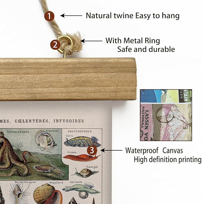 XIAOAIKA Vintage Zoology Poster - Illustrated Invertebrates and Marine Life Chart with Wooden Frame - Educational Biology Wall Art for Science Classrooms and Nature Enthusiasts 20 x 30 inches
