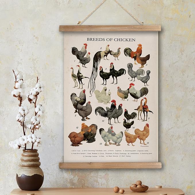 XIAOAIKA Vintage-Inspired Chicken Breeds Art Print - Educational Wall Hanging Poster with Wooden Frame - Rustic Farmhouse Decor, Perfect for Kitchen or Classroom 16 x 23 Inches