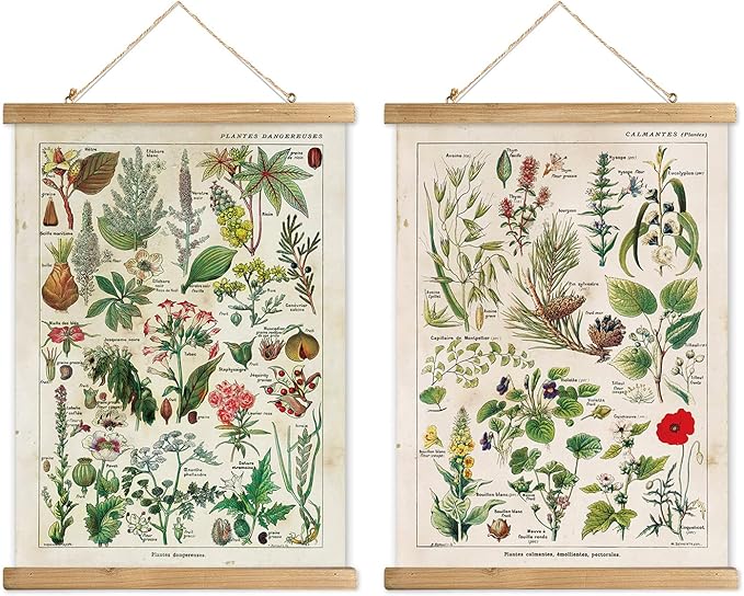 XIAOAIKA 2 Pack Vintage Plant Posters: Medicinal and Poisonous Plants - Retro Style Wall Art with Wooden Frames for Home Classroom, or Apothecary Decor 16 x 23 inches