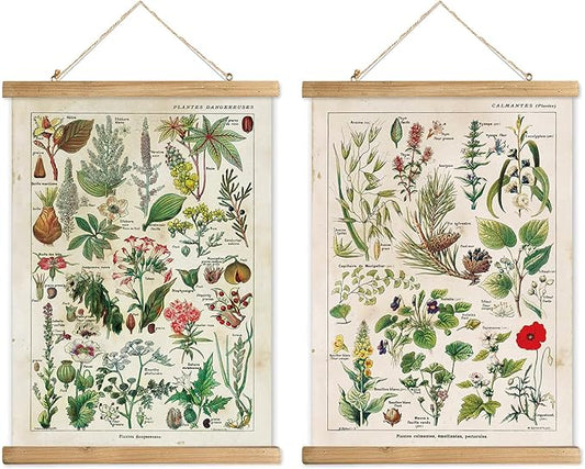 XIAOAIKA 2 Pack Vintage Plant Posters: Medicinal and Poisonous Plants - Retro Style Wall Art with Wooden Frames for Home Classroom, or Apothecary Decor 16 x 23 inches