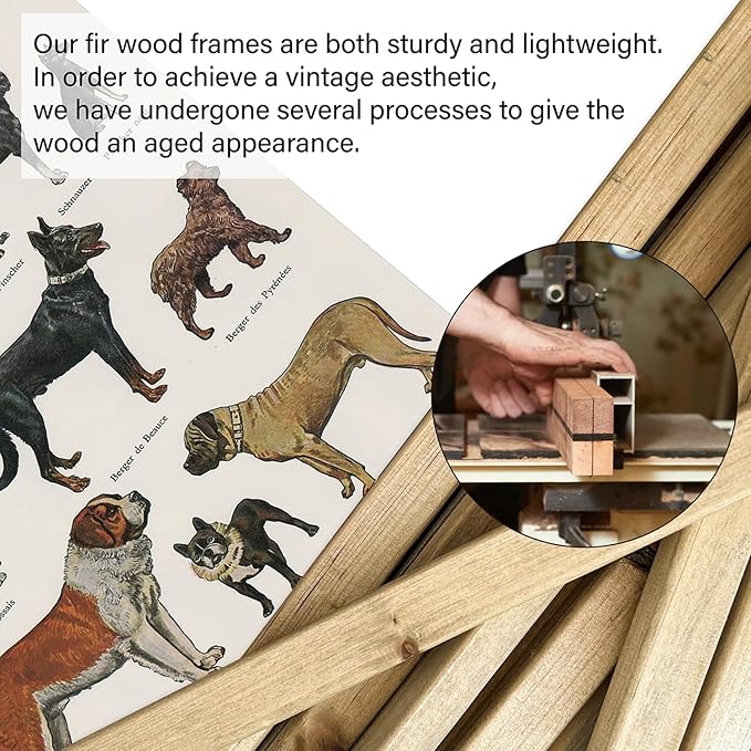 XIAOAIKA Classic Dog Breeds Illustrated Poster - Vintage Canine Varieties Wall Art with Wooden Hanger - Educational and Decorative Print for Pet Lovers and Breeders 16 x 23 Inches