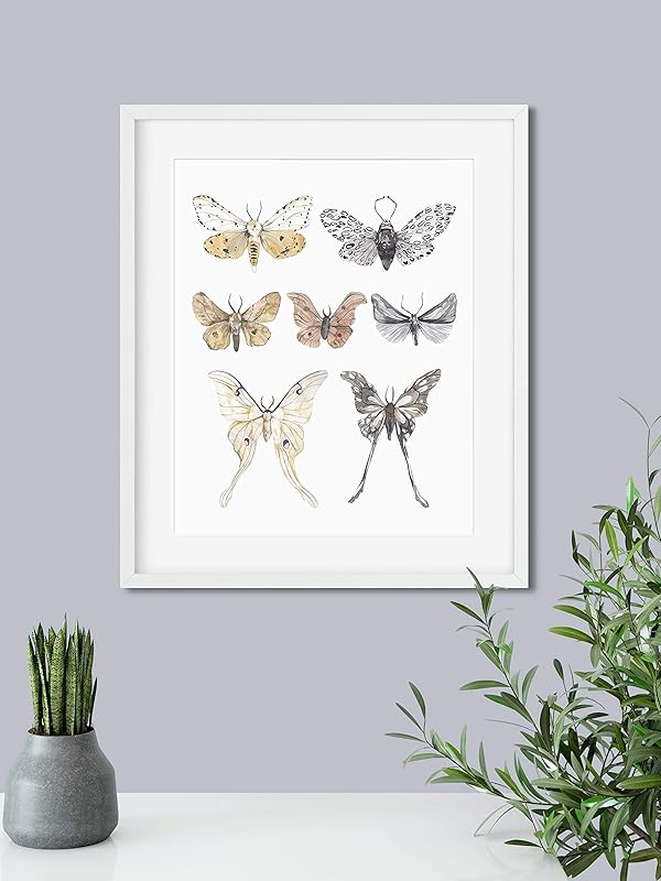 Watercolor Moths Art Prints - Vintage Nature Wall Art - Kitchen Wall Decor - Rustic Farmhouse Artwork - Butterfly Posters - Mariposas Decorativas - SET of 2-8x10 - UNFRAMED