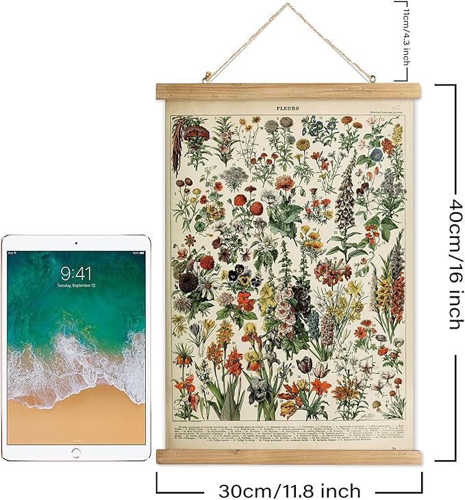XIAOAIKA Vintage Wildflower Hanging Poster with Wooden Frame, Retro Style Wall Decor Detailed Floral Illustration- Educational Botany Wall Art for Gardeners Home Decor Classroom 12 x 16 Inches
