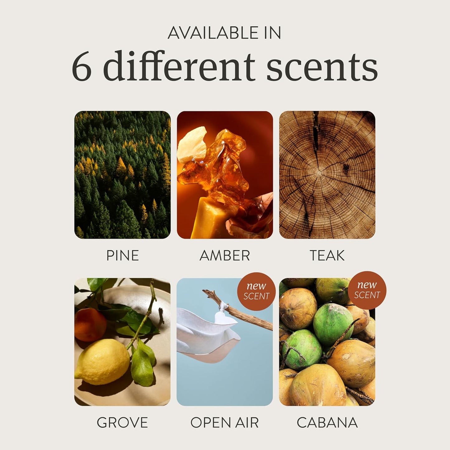 Drift Car Air Freshener - Stone Air Freshener - Car Odor Eliminator - Amber Scent Starter Kit