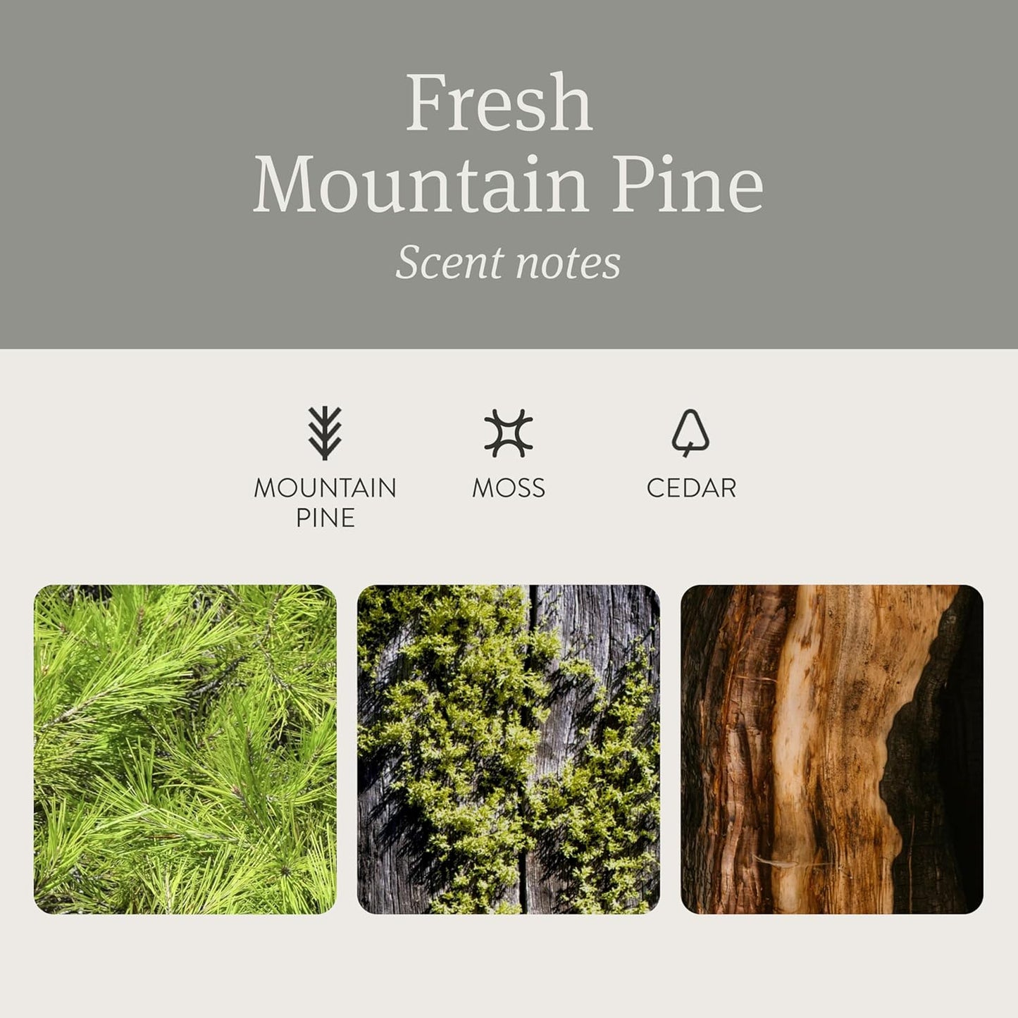 Drift Car Air Freshener - Stone Air Freshener Starter Set - Car Odor Eliminator - Pine Scent