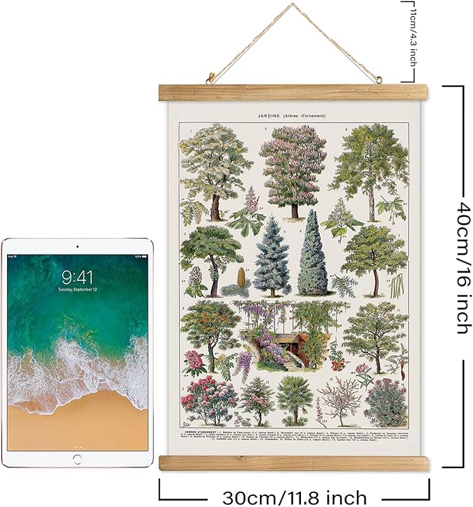 XIAOAIKA Vintage Tree and Shrub Poster - Botanical Educational Retro Wall Art with Wooden Frame for Gardening Enthusiasts and Landscape Designers 12 x 16 Inches