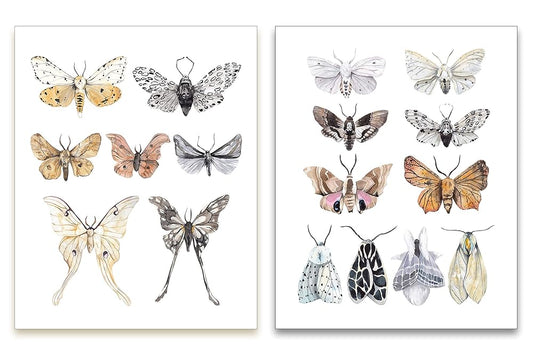 Watercolor Moths Art Prints - Vintage Nature Wall Art - Kitchen Wall Decor - Rustic Farmhouse Artwork - Butterfly Posters - Mariposas Decorativas - SET of 2-8x10 - UNFRAMED