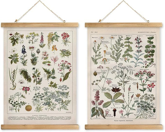 Vintage Spring Flower Poster Print, Botanical Educational Illustration, Rustic Wooden Hanger Frame, Linen Canvas Wall Art Decor, Farmhouse Cottagecore Style for Living Room Bedroom Office (16" x 23")