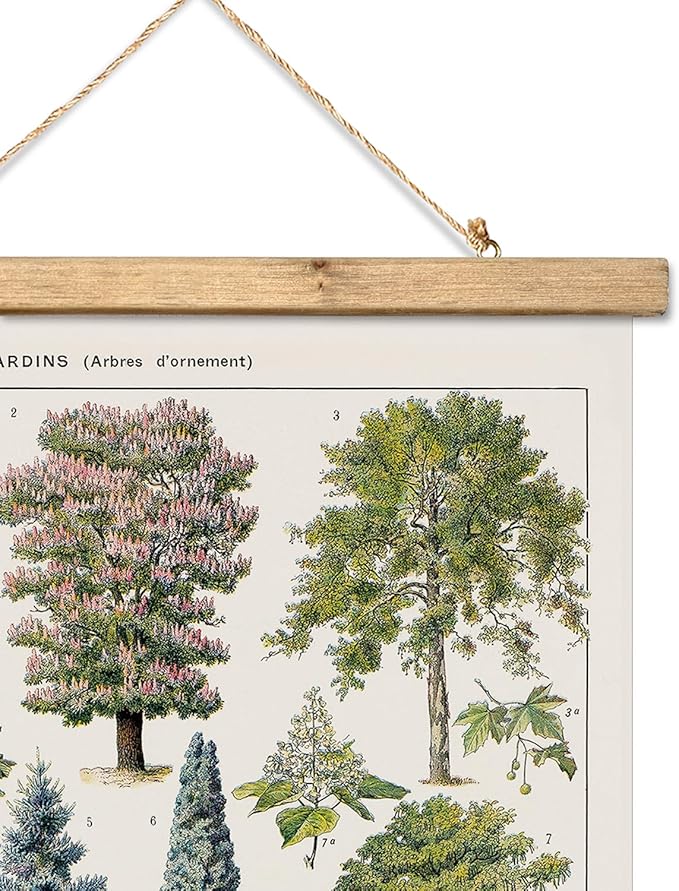 XIAOAIKA Vintage Tree and Shrub Poster - Botanical Educational Retro Wall Art with Wooden Frame for Gardening Enthusiasts and Landscape Designers 12 x 16 Inches