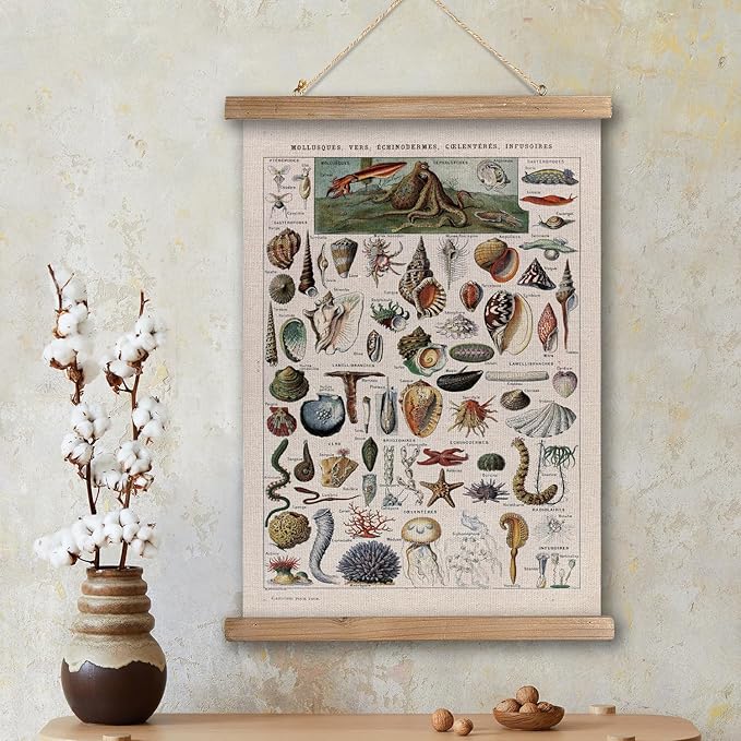 XIAOAIKA Vintage Zoology Poster - Illustrated Invertebrates and Marine Life Chart with Wooden Frame - Educational Biology Wall Art for Science Classrooms and Nature Enthusiasts 20 x 30 inches