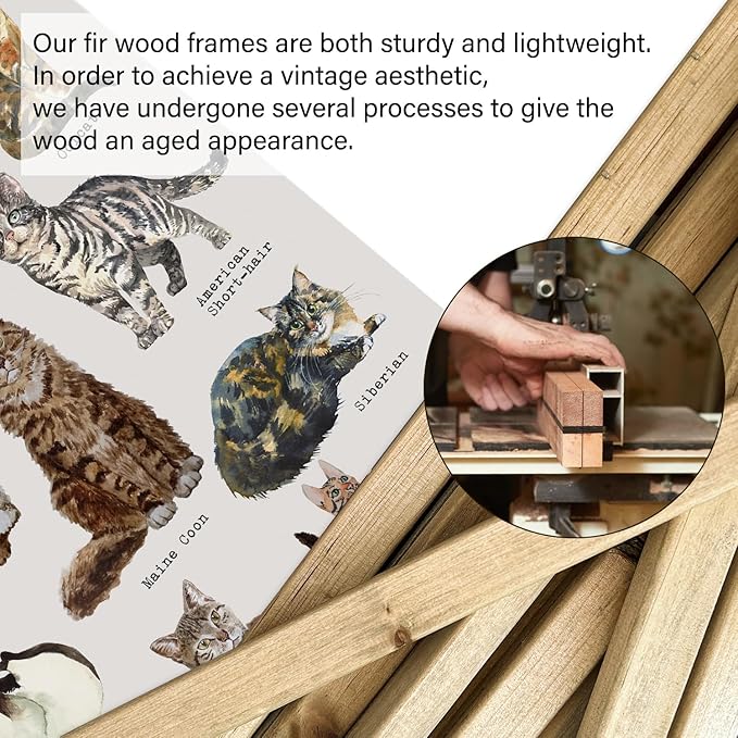 XIAOAIKA Cat Breeds Educational Poster - Illustrated Guide to Popular Feline Varieties with Wooden Scroll Frame - Decorative Wall Art for Cat Lovers and Pet Owners 20 x 30 Inches