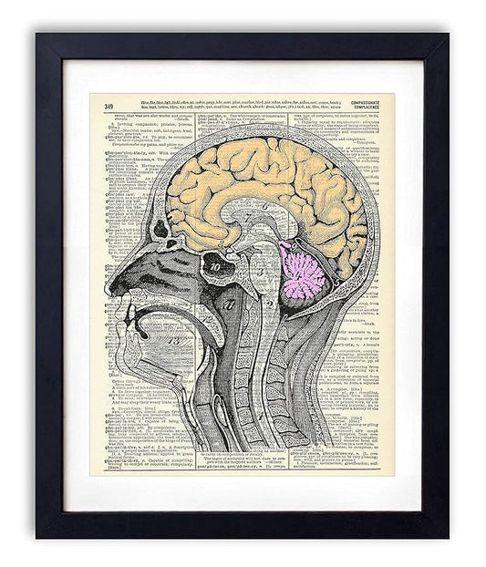 Vintage Anatomy Illustration Art, Dictionary Print, Antique Wall Art Home Decor, Modern Boho, Medical Posters, Farmhouse Decoration 8x10 Inches, Ready To Frame (Colorful Brain)