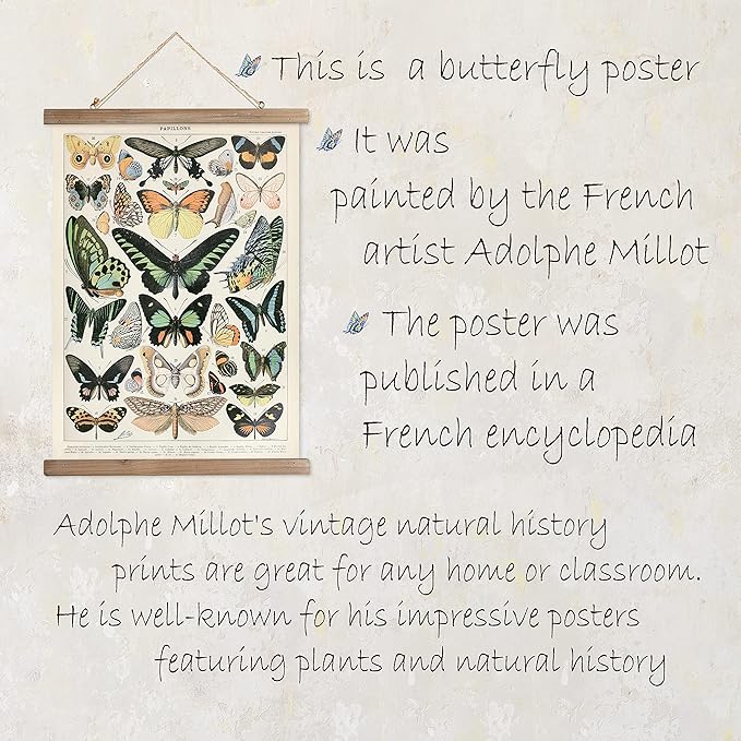 XIAOAIKA Vintage Butterfly Poster Hanger Frame, Cottagecore Room Decor Aesthetic, Retro Style Wall Decor Art Painting, Patterns are Printed on Linen Without Fading (16 x 23 inches)